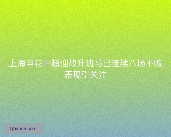 上海申花中超迎战升班马已连续八场不败表现引关注 上海申花中超迎战升班马已连续八场不败表现引关注
