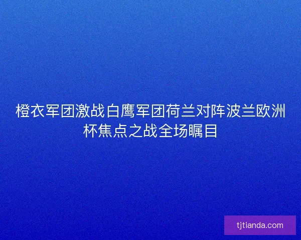 橙衣军团激战白鹰军团荷兰对阵波兰欧洲杯焦点之战全场瞩目