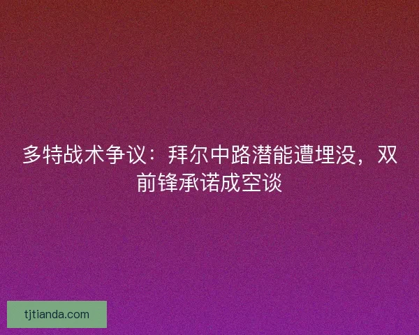 多特战术争议：拜尔中路潜能遭埋没，双前锋承诺成空谈