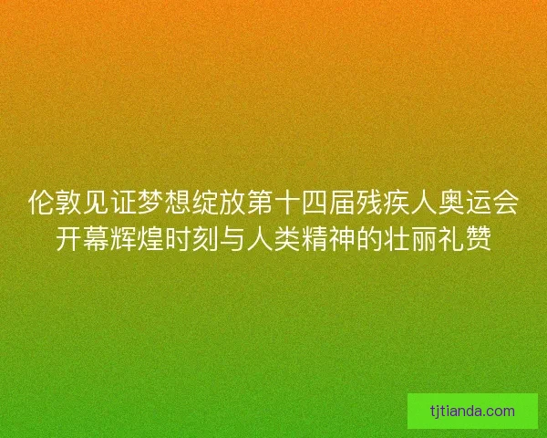 伦敦见证梦想绽放第十四届残疾人奥运会开幕辉煌时刻与人类精神的壮丽礼赞