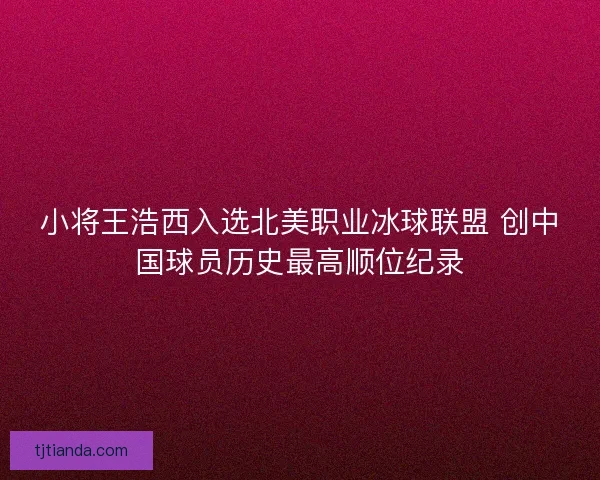 小将王浩西入选北美职业冰球联盟 创中国球员历史最高顺位纪录